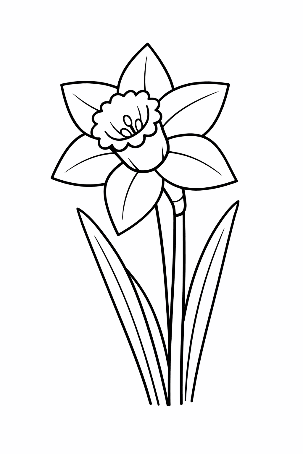 Narzisse (Daffodil) - Ausmalbild